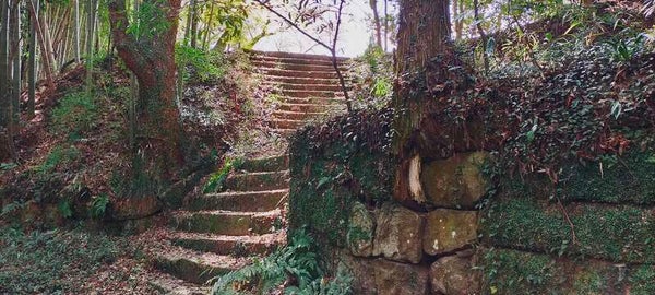 【東京駅_鍛冶橋駐車場発】 《続日本100名城めぐり》関東編 その2 ~埼玉、茨城、栃木県編~ 3日間2